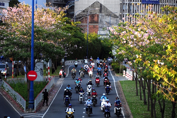 Việc làm IT ở TPHCM ngày càng có sức cạnh tranh cao - ảnh: internet.