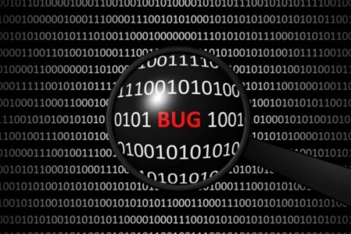 Bug là gì? Các loại Bug phổ biến hiện nay?