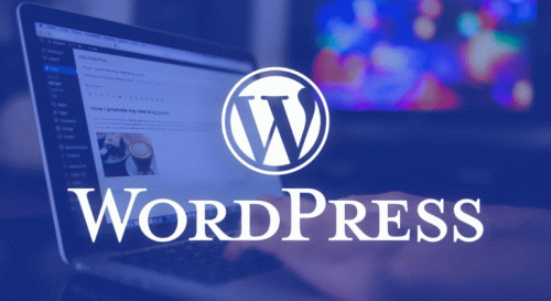 Lập trình viên WordPress: Hành trang cần thiết và cơ hội việc làm