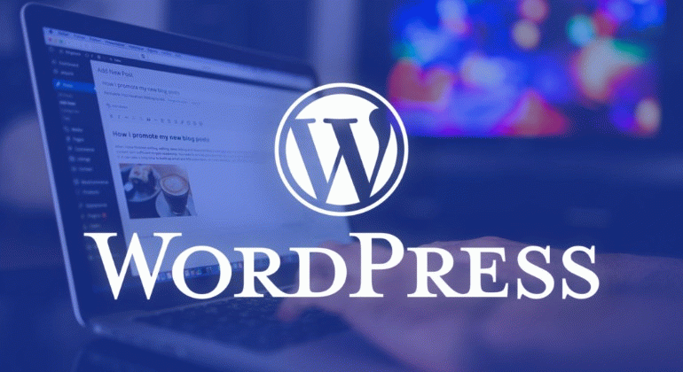 Lập trình viên wordpress